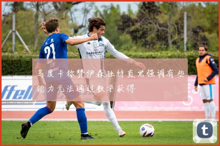 乌度卡称赞伊森独特直觉强调有些能力无法通过教学获得