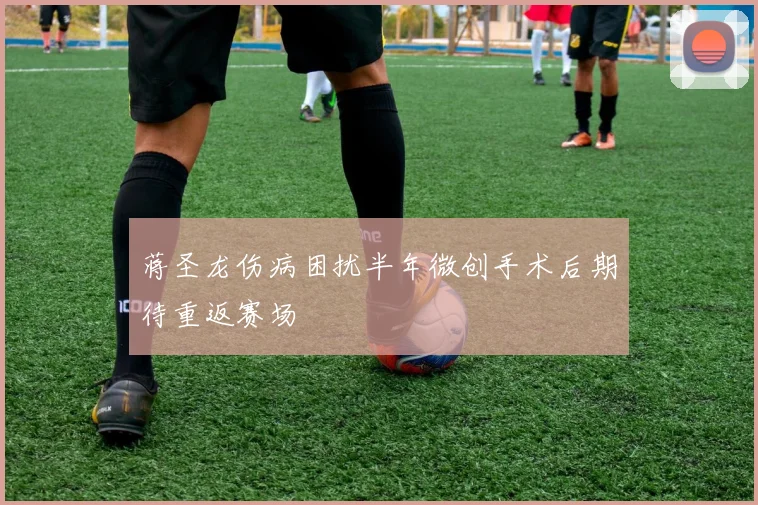 蒋圣龙伤病困扰半年微创手术后期待重返赛场