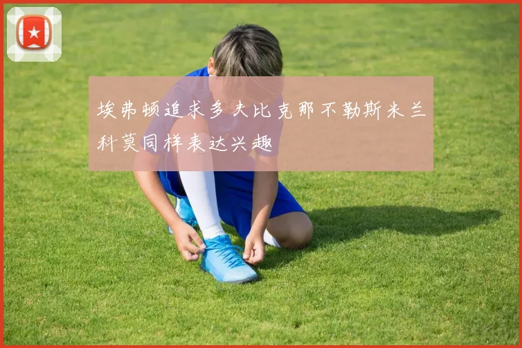 埃弗顿追求多夫比克那不勒斯米兰科莫同样表达兴趣